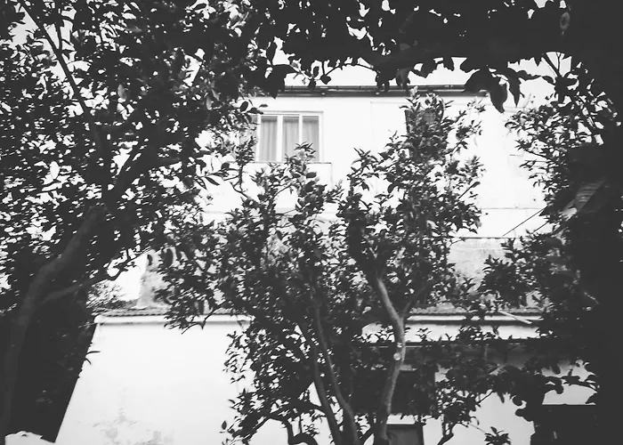 Beatrice Sorrento